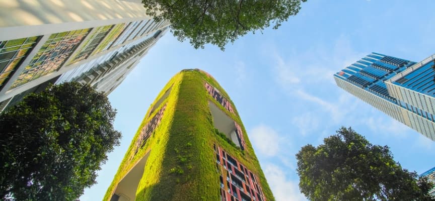 Redefining Green Living: The New Standard for Sustainable Lifestyles